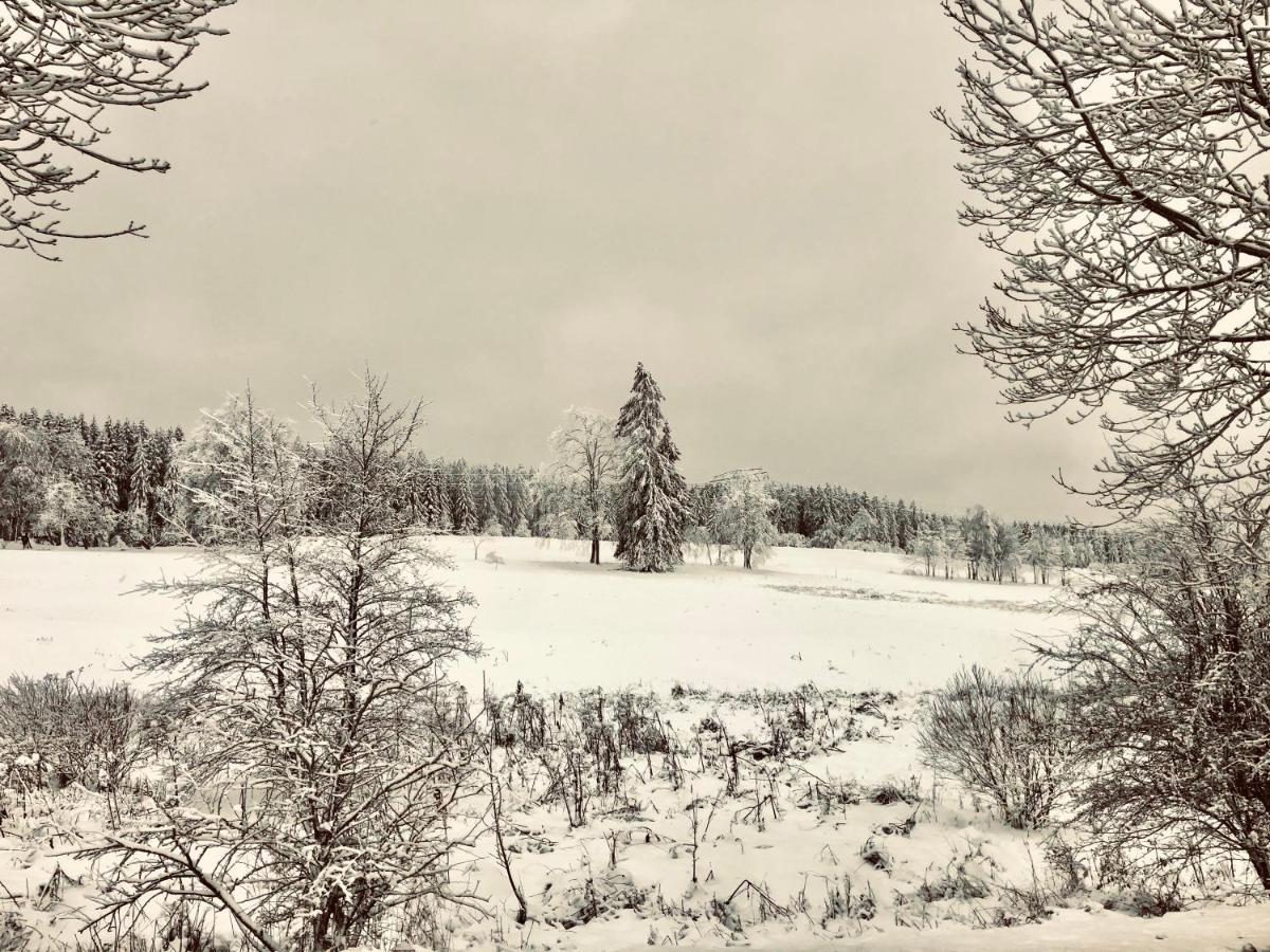 Appartamento App 622 Panoramic Hohegeiss Mit Wlan Terrassenhaus Braunlage Esterno foto
