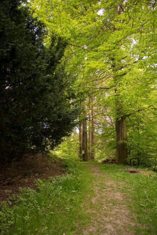 Appartamento App 622 Panoramic Hohegeiss Mit Wlan Terrassenhaus Braunlage Esterno foto