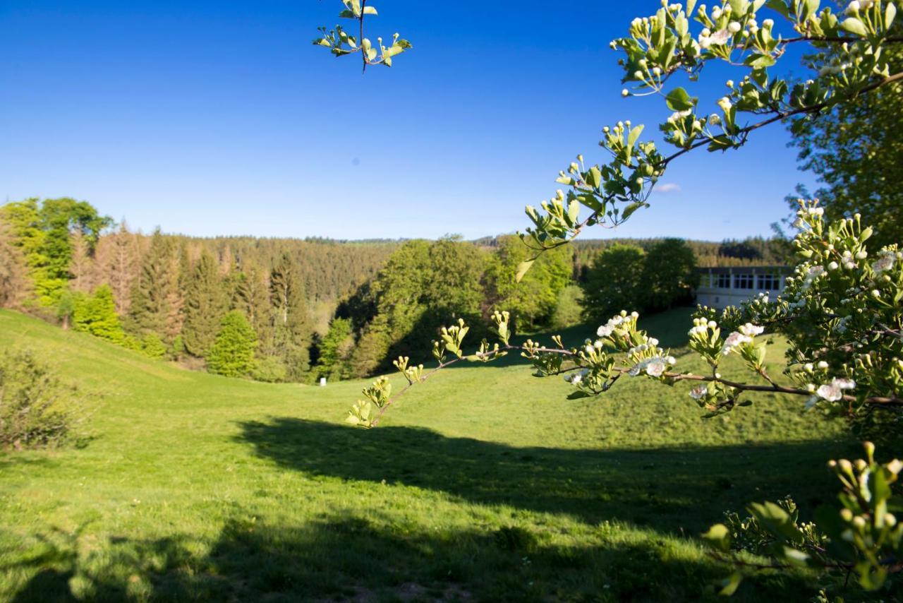 Appartamento App 622 Panoramic Hohegeiss Mit Wlan Terrassenhaus Braunlage Esterno foto
